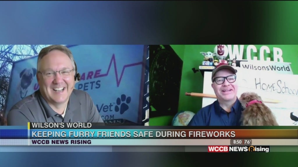 Wilson's World: Keeping Your Dog Safe & Calm During 4th Of July Fireworks
