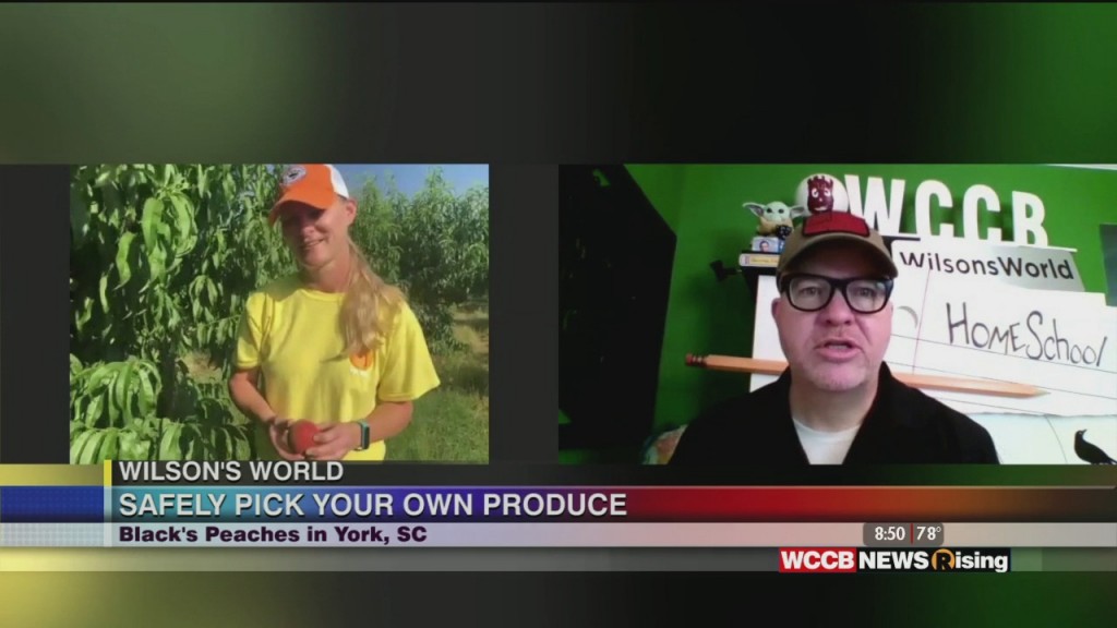 Wilson's World: Heading To Black's Farm To Pick Fresh Produce