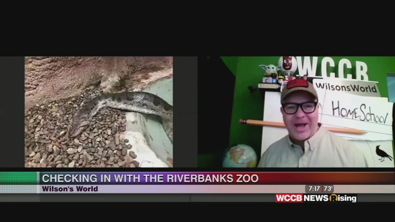 Wilson's World Visiting the Aquarium Reptile Complex at the Riverbanks