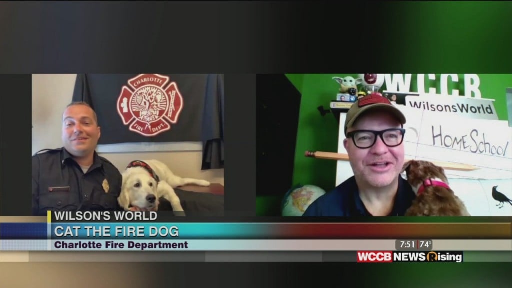 Wilson's World: Checking In With Charlotte Fire Department's Newest "fire Dog"