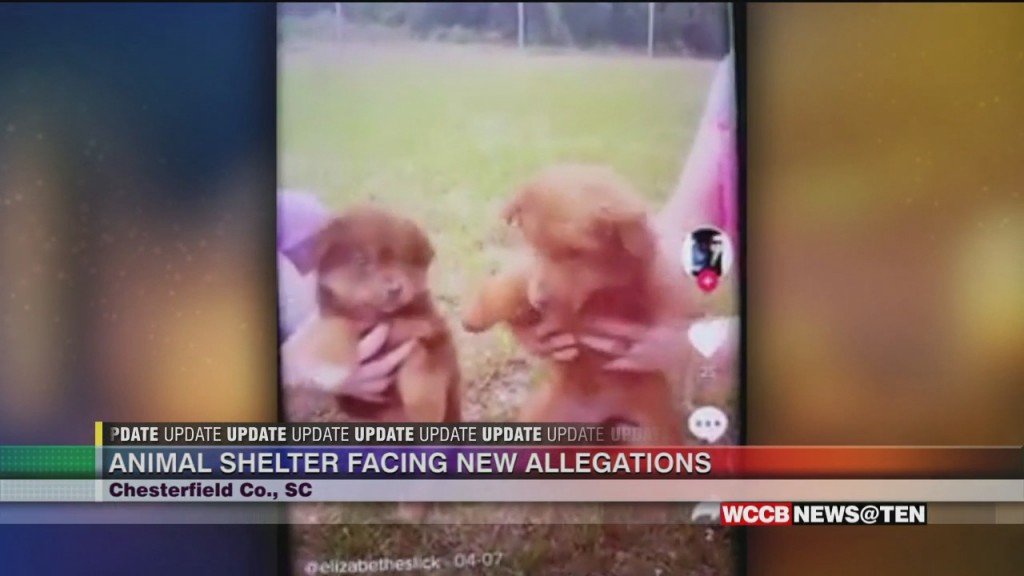 New Allegations Against Local Animal Shelter