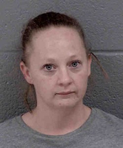 Allison Rollins Felony Possession
