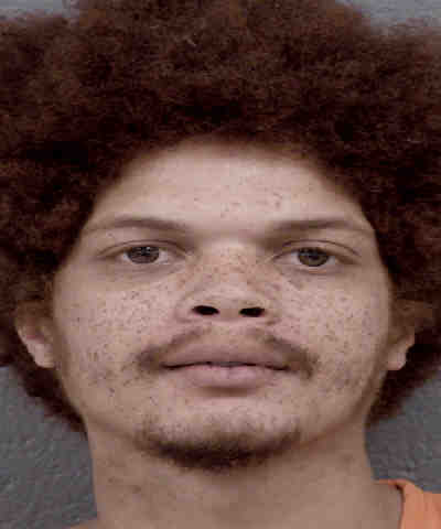 Emmanuel Collins First Degree Murder Possession Of Firearm By Felon