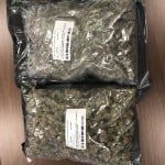 Hwy 321 Traffic Stop 07 12 20 Image 2