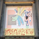 Img 5542