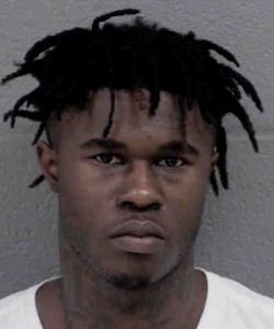 Malik Lewis Breaking And Entering Financial Card Theft