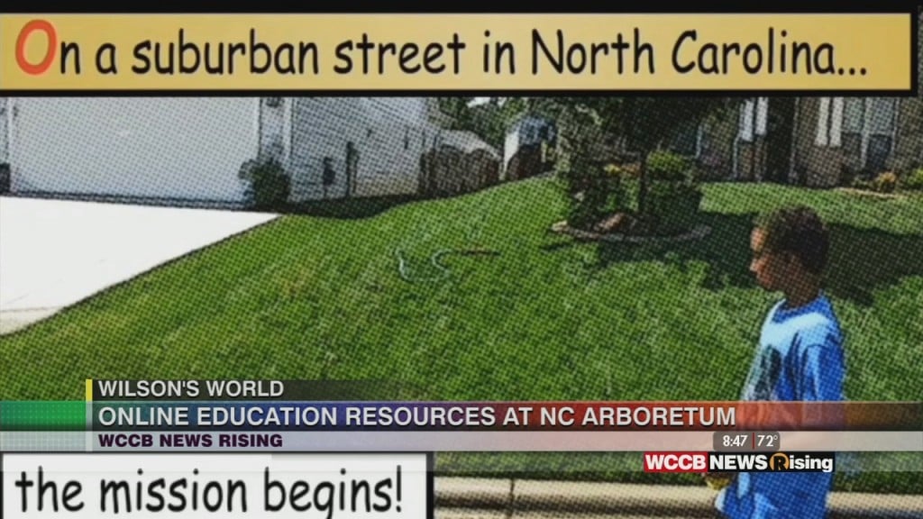 Wilson's World: Learning More About The North Carolina Arboretum In Asheville