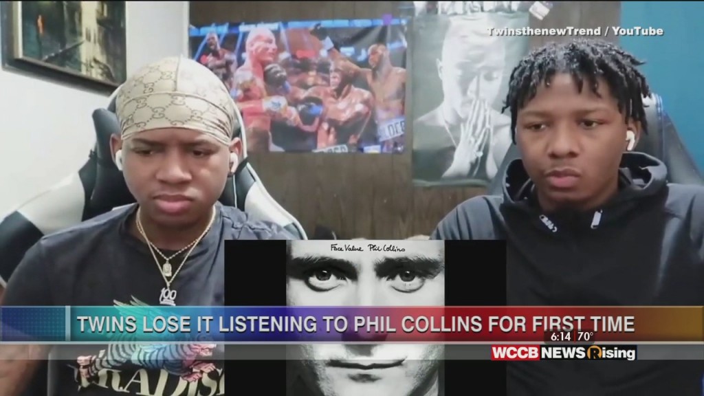 Viral Videos: Seagull Shopflifter & Twin Brothers Listen To Phil Collins For First Time