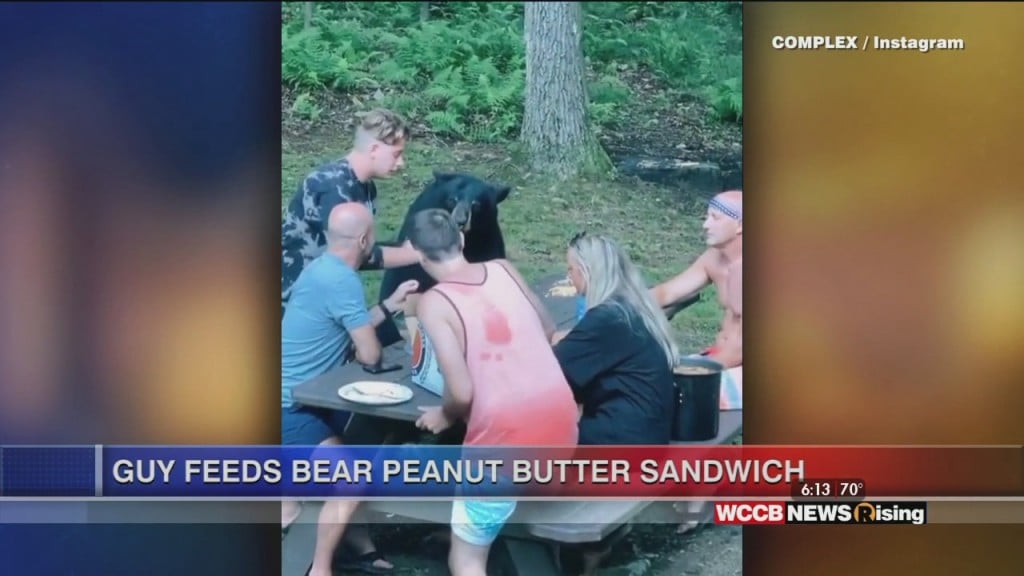 Viral Videos: Family Feeds Bear Peanut Butter Sandwich