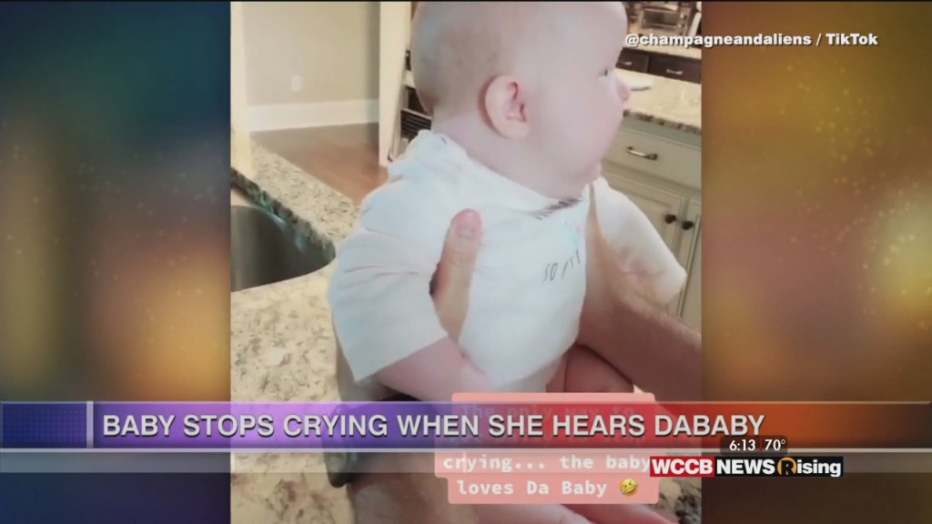 Viral Videos: Dog Turns Herself Into Burrito And A Baby Likes Listening To Dababy