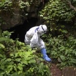 A Researcher With A Bat In A Bag Walk Out From A Cave Inside Sai Yok National Park In Kanchanaburi Province