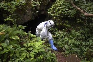 A Researcher With A Bat In A Bag Walk Out From A Cave Inside Sai Yok National Park In Kanchanaburi Province