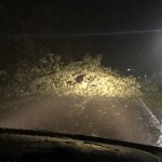 Bay Road Between Village Point And Pigot–photo Credit Brunswick Sheriff