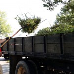 Charlotte Motor Speedway Employees Roll Up Sleeves For Third Annual Day Of Service 04
