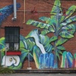 Charlotte Street Murals 34