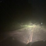 Crabapple Near Belmon Acres–photo Credit Brunswick Sheriff