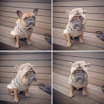 Diesel