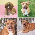 Maggie May Welty