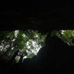 Researchers Set Up Equipment For Catch Bat In Front Of Cave Inside Sai Yok National Park