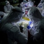 Researchers Swap Samples From A Bat's Mouth Inside Sai Yok National Park In Kanchanaburi Province