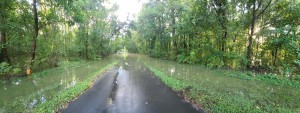 Salisbury Greenway Near Crescent Golf Course Flooding 1