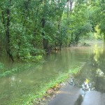 Salsibury Greenway Flood 4