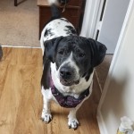 Sam