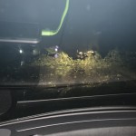 Seaside Road Just Before Ocean Ridge Plantation–photo Credit Brunswick Sheriff