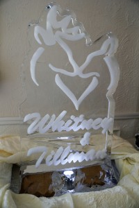 Whitney & Tillman Wedding 31
