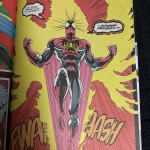 Spider Phoenix