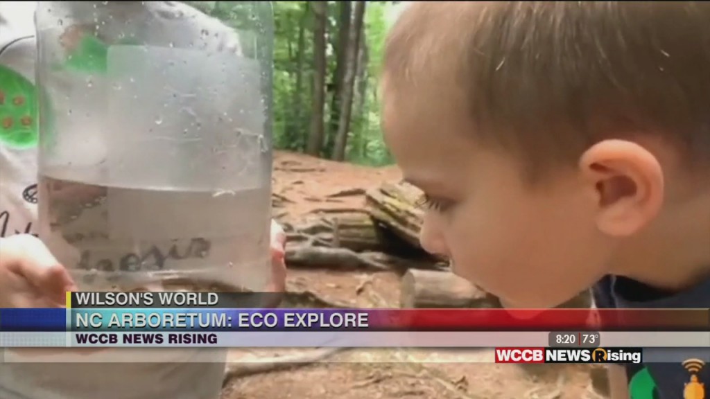 Wilson's World Homeschool: Exploring Your Own Backyard With The North Carolina Arboretum
