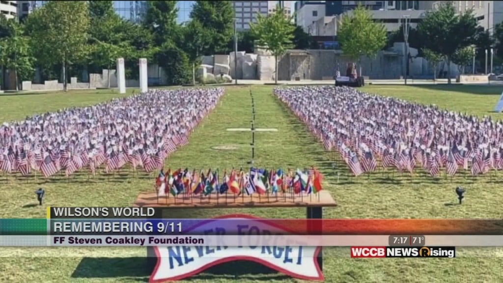 Wilson's World: Placing The Flags For The 2020 Flags Of Remembrance Memorial Begins Today