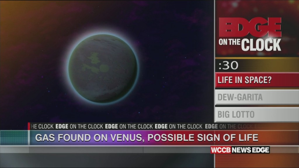 Life In Space?