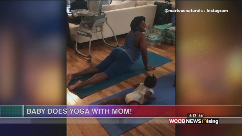 Viral Videos: Wine Spill, Baby Yoga And Cam Newton Meme