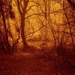 A Scorched Car Rests In A Clearing Following The Bear Fire In Butte County, Calif