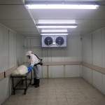 A Worker From 