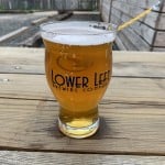 Cosmic Jellyfish from Lower Left Brewing