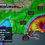Sally Rainfall Wide