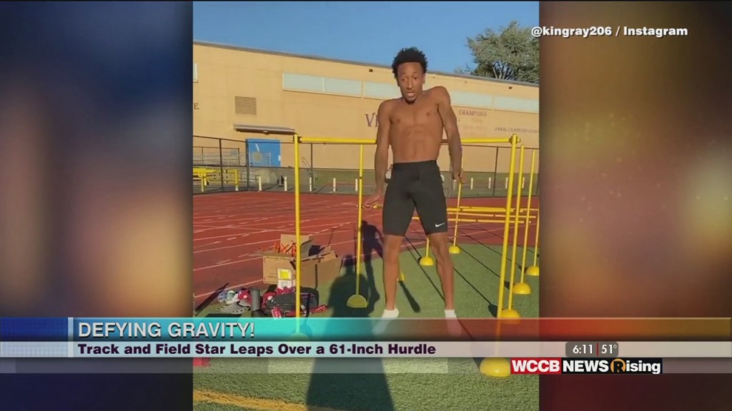 Viral Videos: Track Star Leaps Over 61 Inch Hurdle And Bull Elk Falls Chasing The Ladies