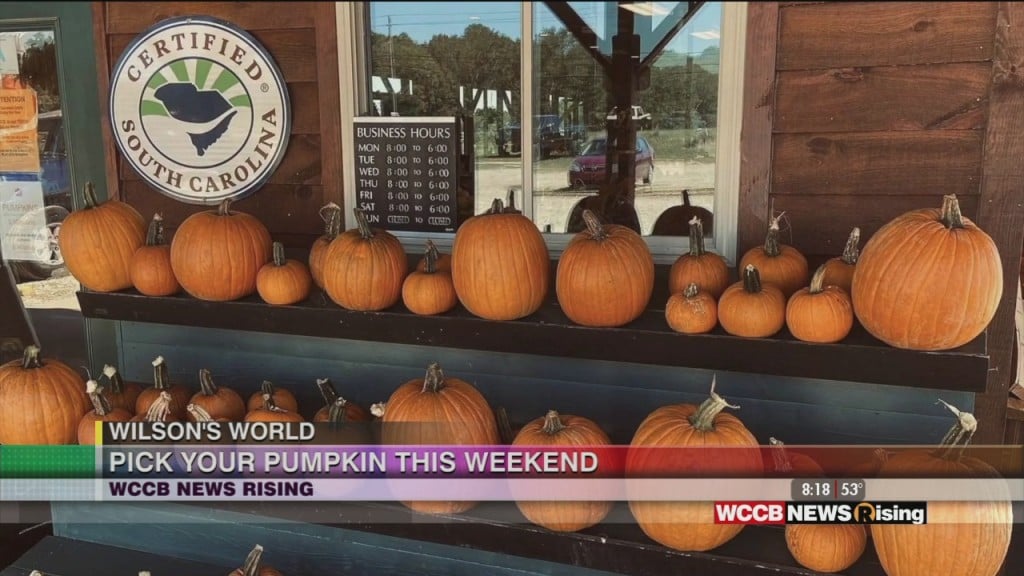 Wilson's World: Picking That Perfect Pumpkin And Having Fun On The Farm In York County