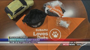 Wilson's World: Make A Dog's Day With Subaru Loves Pets Program And Cmpd Ac&c