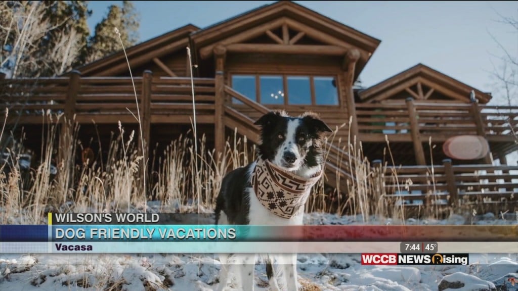 Wilson's World: Vacasa Show Us Where We Can Enjoy A Vacation With Our Canine Companion