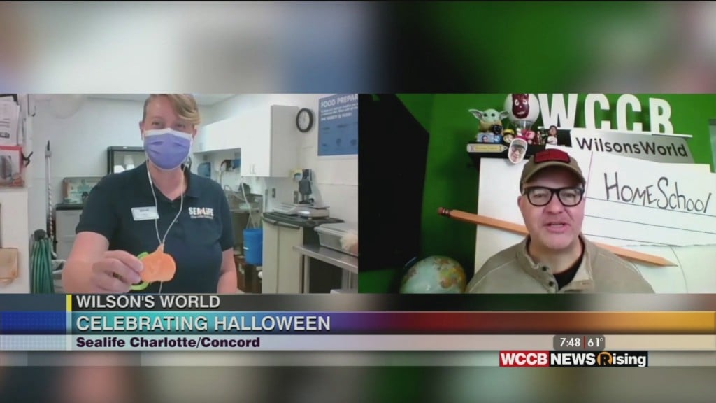 Wilson's World Homeschool: It's Spooky Seas And Frightful Fun At Sea Life Aquarium