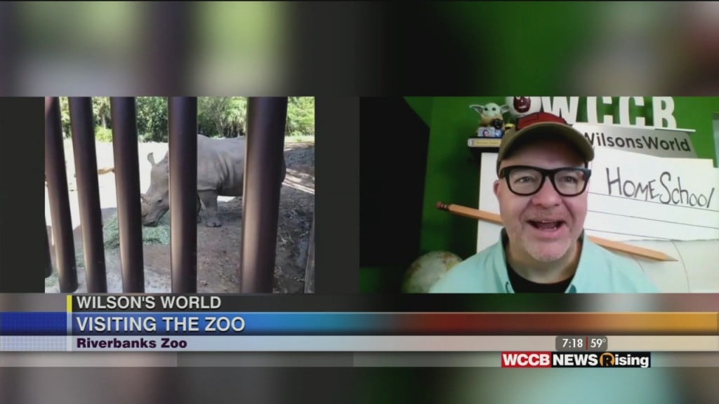Wilson's World Homeschool: Enjoying A Visit With The New Rhino Residents At The Riverbanks Zoo