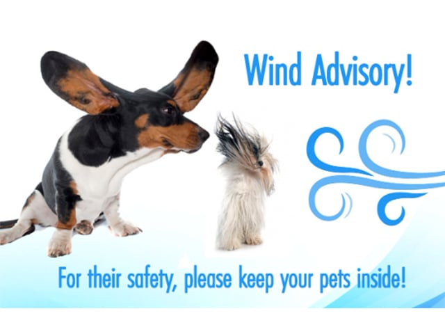 Cmpd Wind Advisory