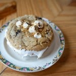 The Batchmaker S'mores Cookie Sandwich