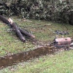 Downed Power Lines At Central Elementary School