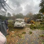 Tree Falls On Mail Truck In Statesville – No Injuries Reported