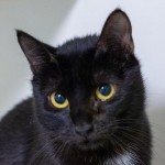 Sue
