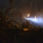Swamp Thing 101 Pilot 08